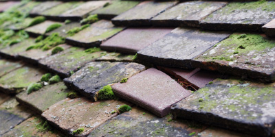 Birkenhead roof repair costs